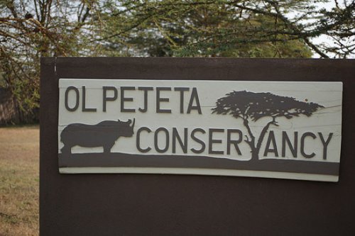 Banner Masai Mara